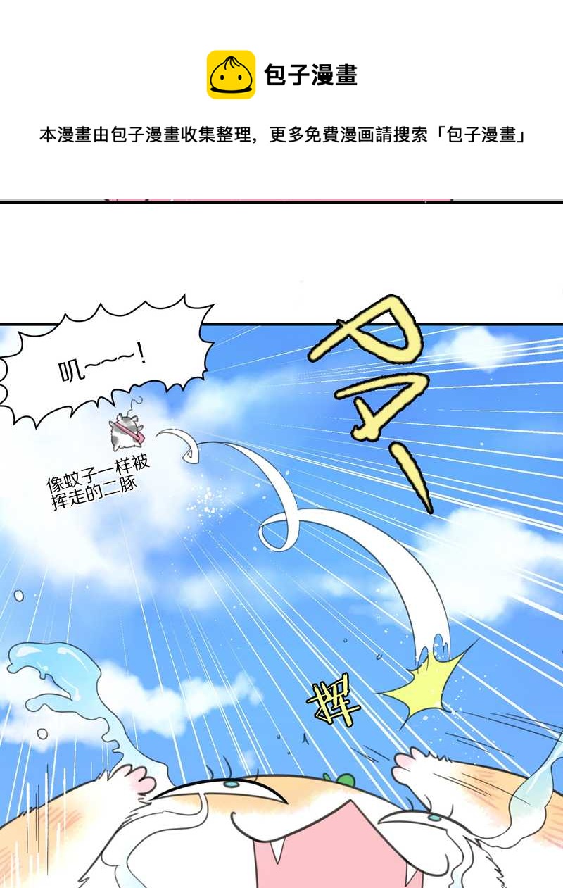 毛球星传说 第5集(1/2)-第5话