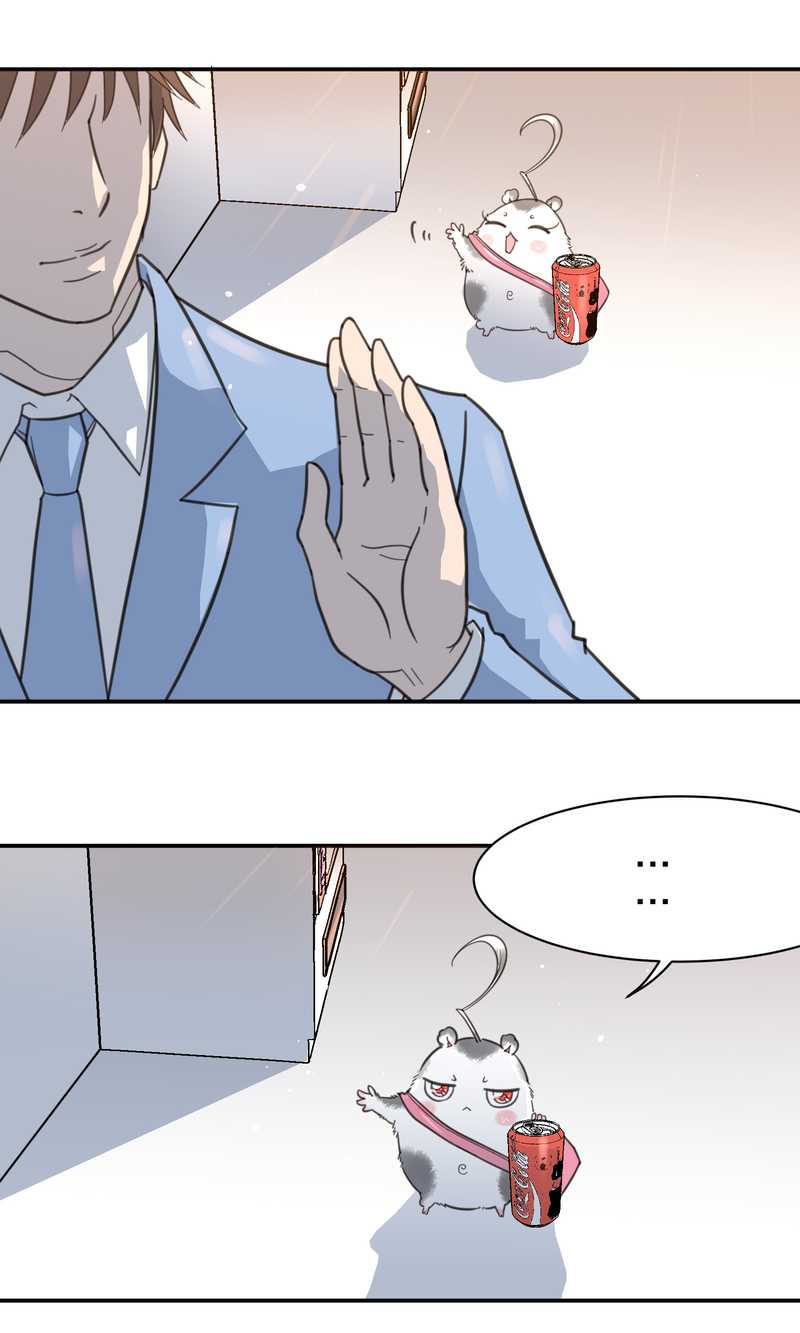 毛球星传说 第5集(1/2)-第5话