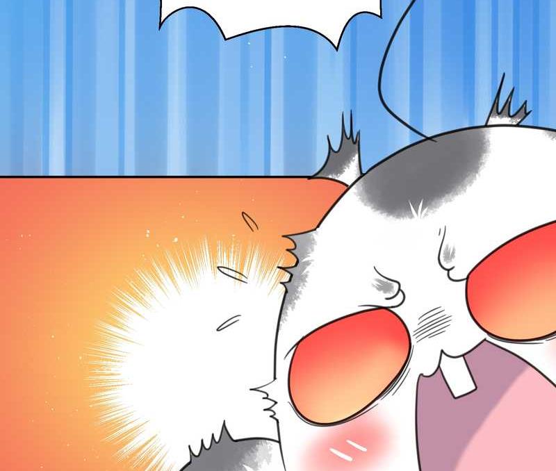 毛球星传说 第41集(1/2)-第41话