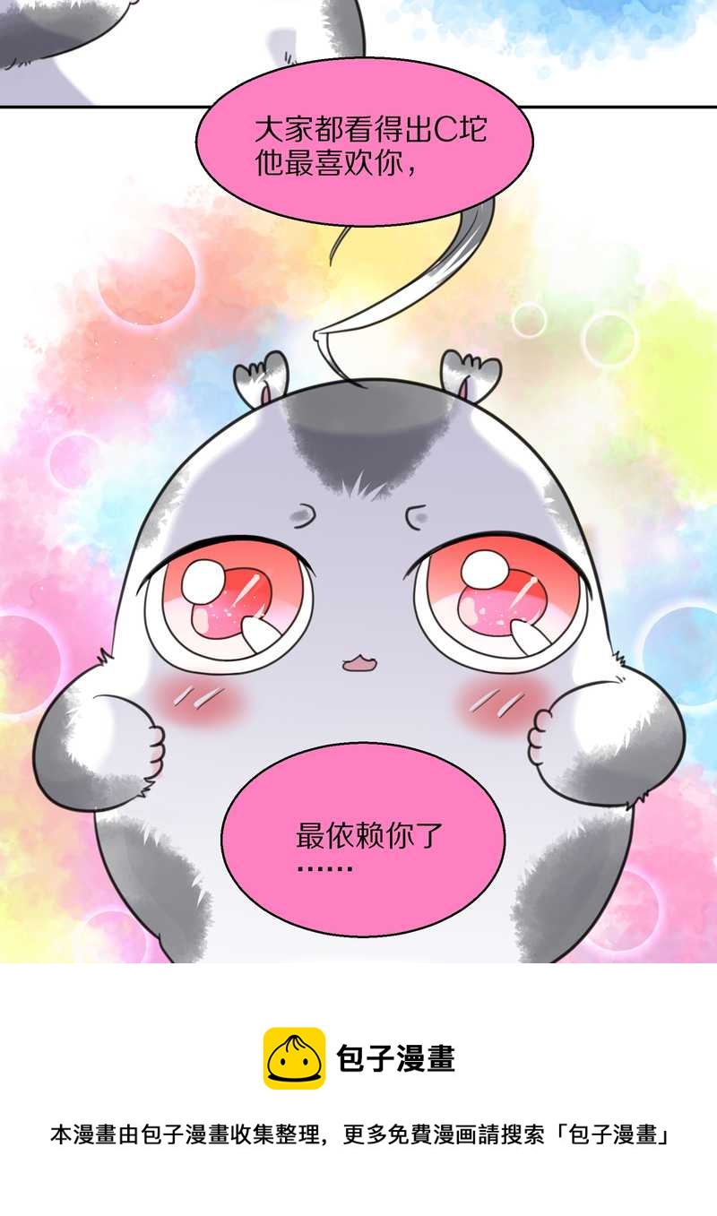 毛球星传说 第41集(1/2)-第41话