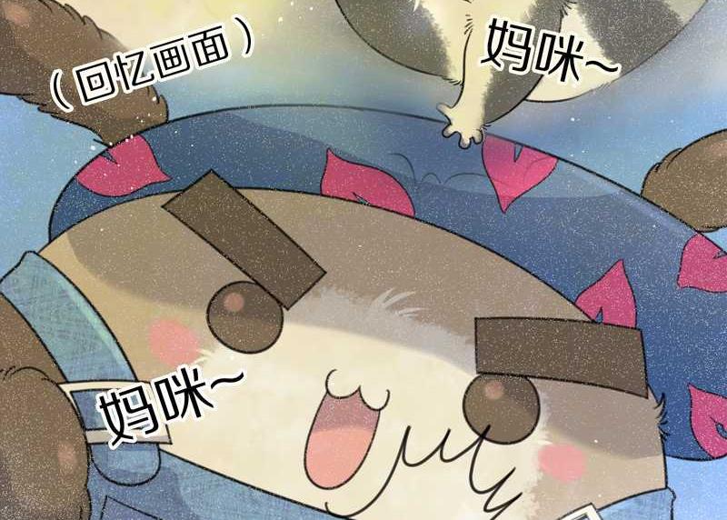 毛球星传说 第41集(1/2)-第41话