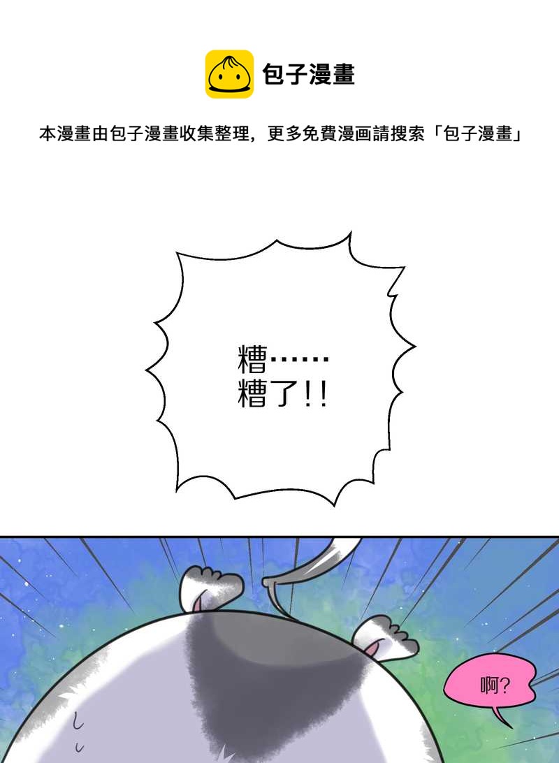毛球星传说 第41集(1/2)-第41话