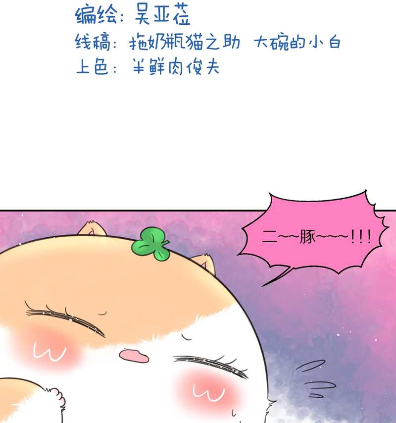 毛球星传说 第41集(1/2)-第41话