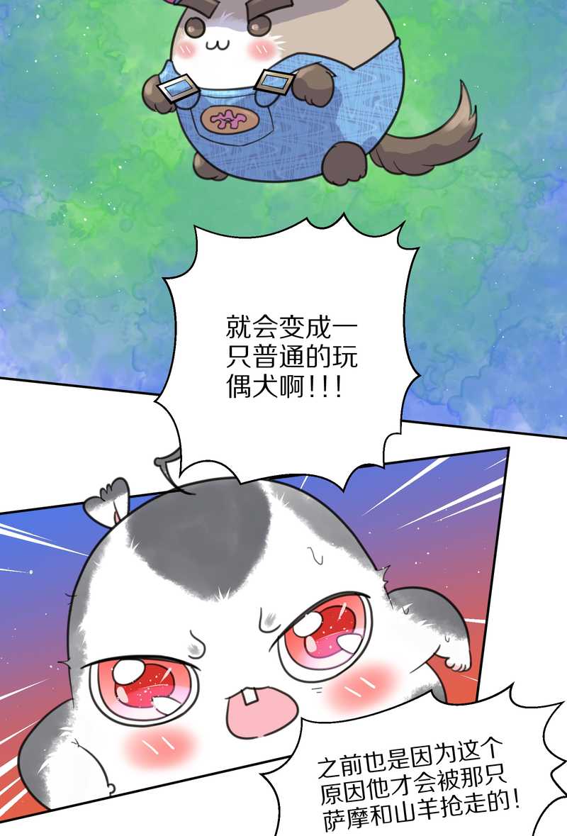 毛球星传说 第41集(1/2)-第41话