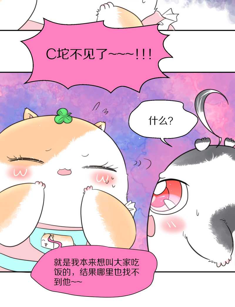 毛球星传说 第41集(1/2)-第41话