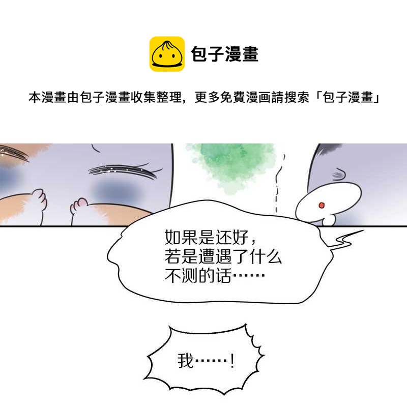 毛球星传说 第41集(1/2)-第41话