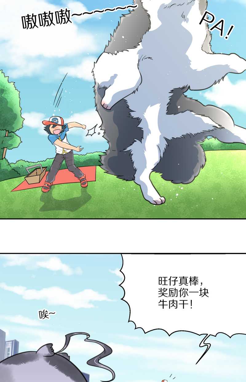 毛球星传说 第41集(1/2)-第41话