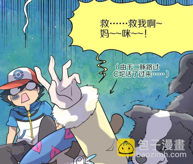 毛球星传说 第41集(1/2)-第41话