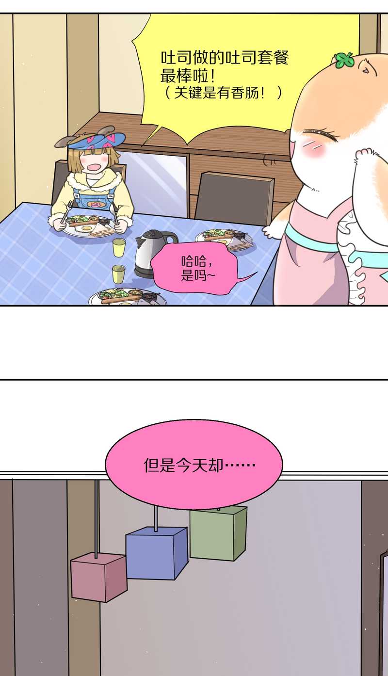 毛球星传说 第41集(1/2)-第41话