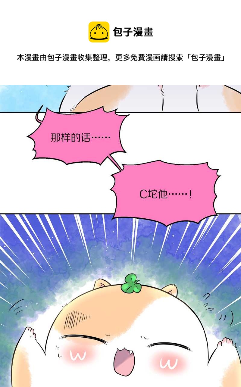 毛球星传说 第43集-第43话