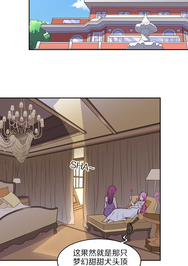 毛球星传说 第43集-第43话