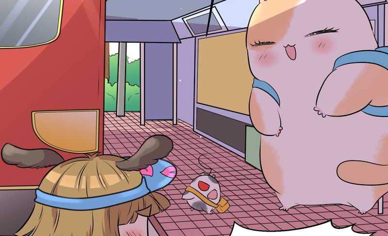 毛球星传说 第47集(1/2)-第47话