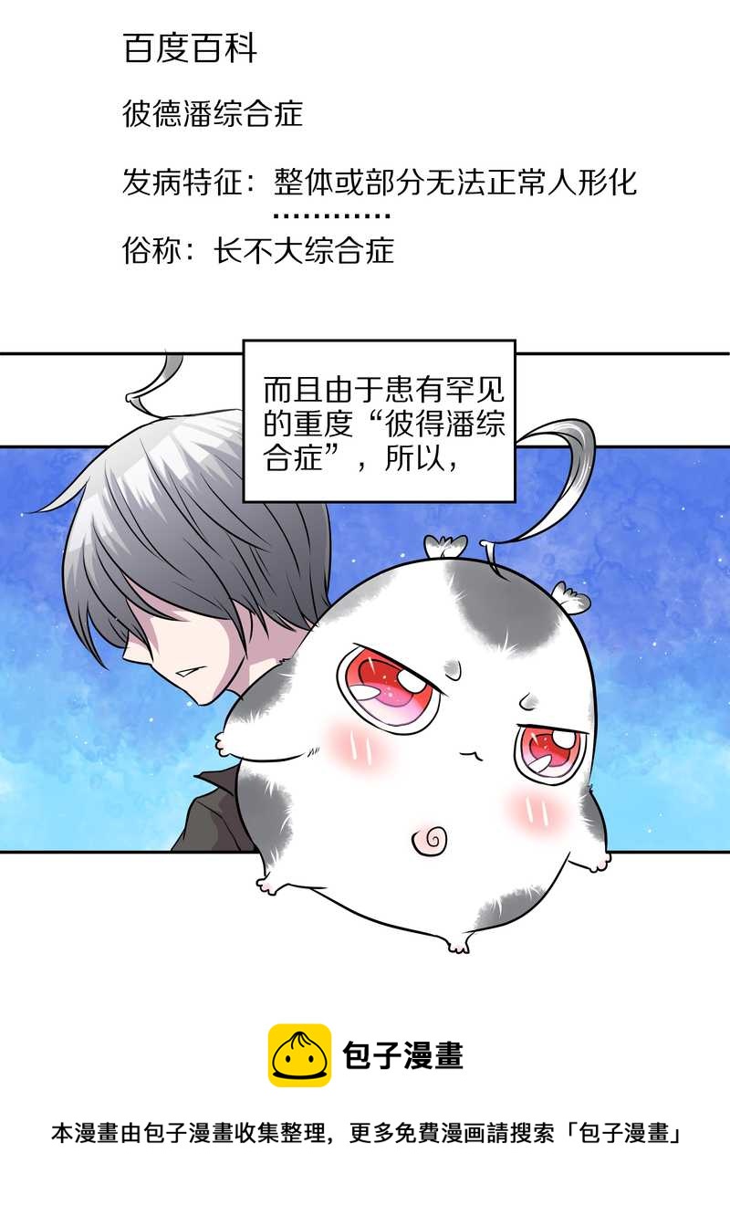 毛球星传说 第47集(1/2)-第47话