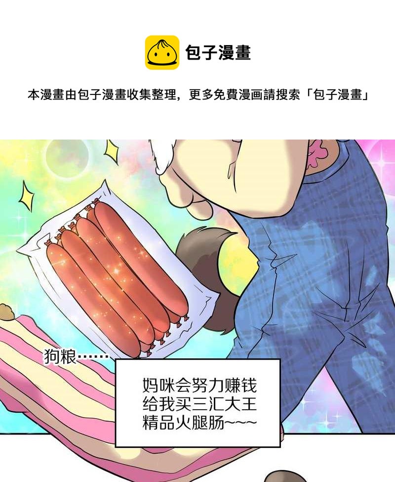 毛球星传说 第47集(1/2)-第47话