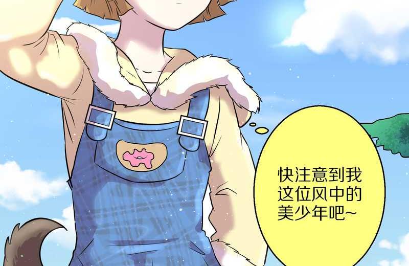 毛球星传说 第47集(1/2)-第47话