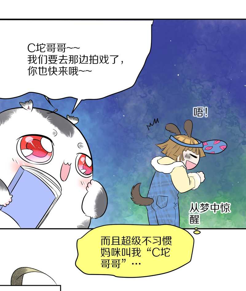 毛球星传说 第47集(1/2)-第47话