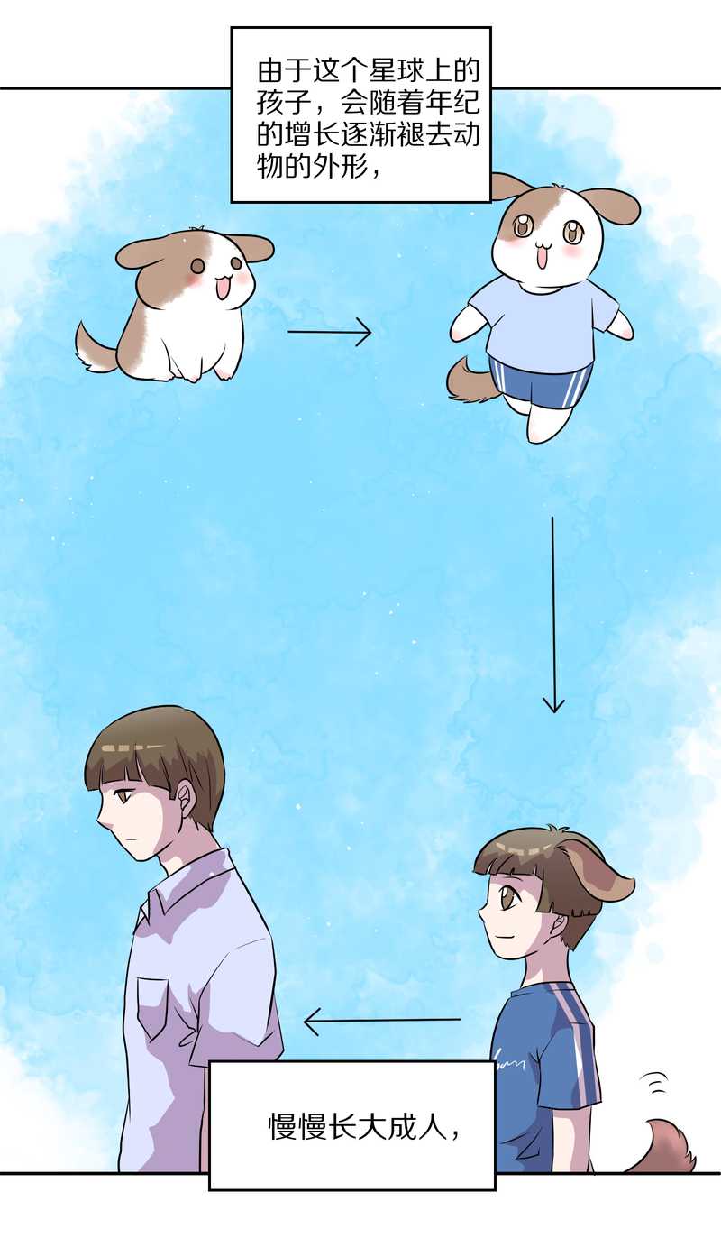 毛球星传说 第47集(1/2)-第47话