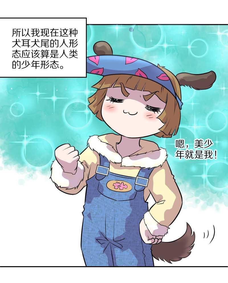 毛球星传说 第47集(1/2)-第47话