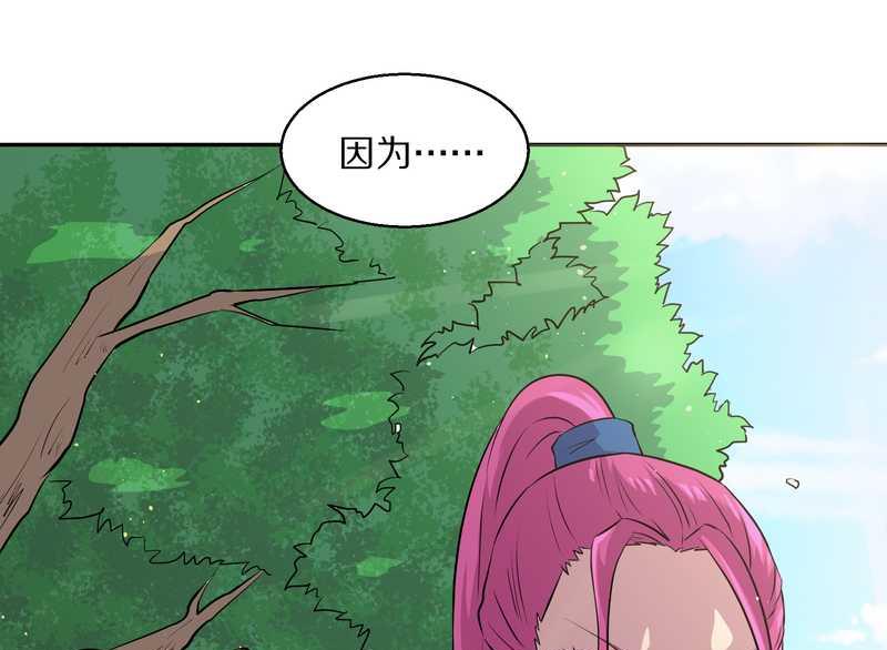 毛球星传说 第49集(1/2)-第49话