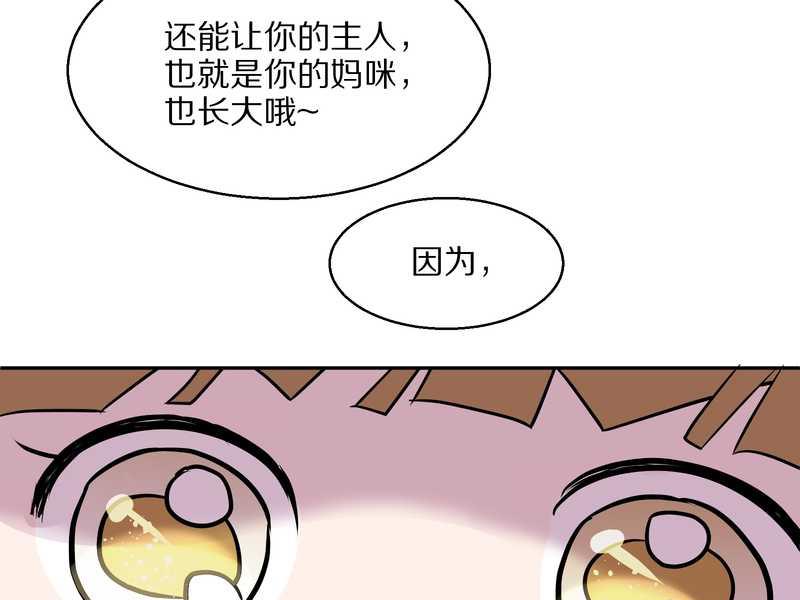 毛球星传说 第49集(1/2)-第49话