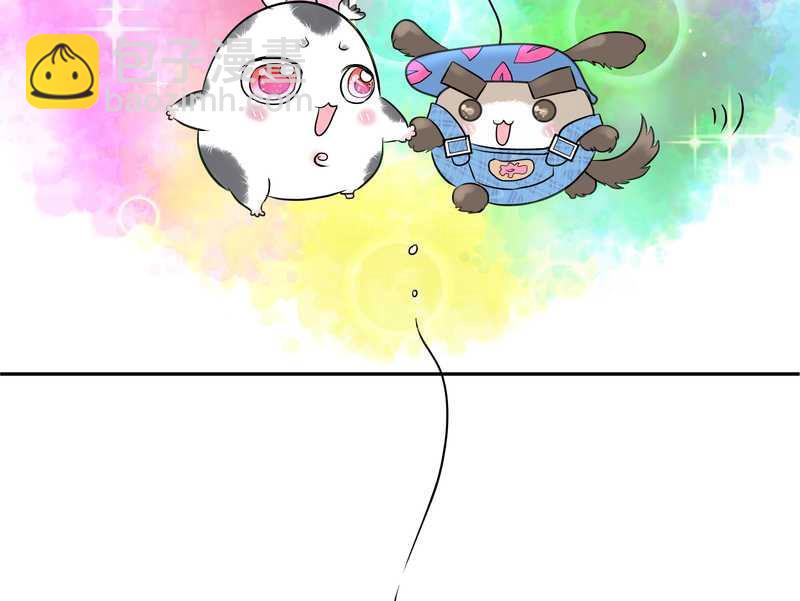 毛球星传说 第49集(1/2)-第49话