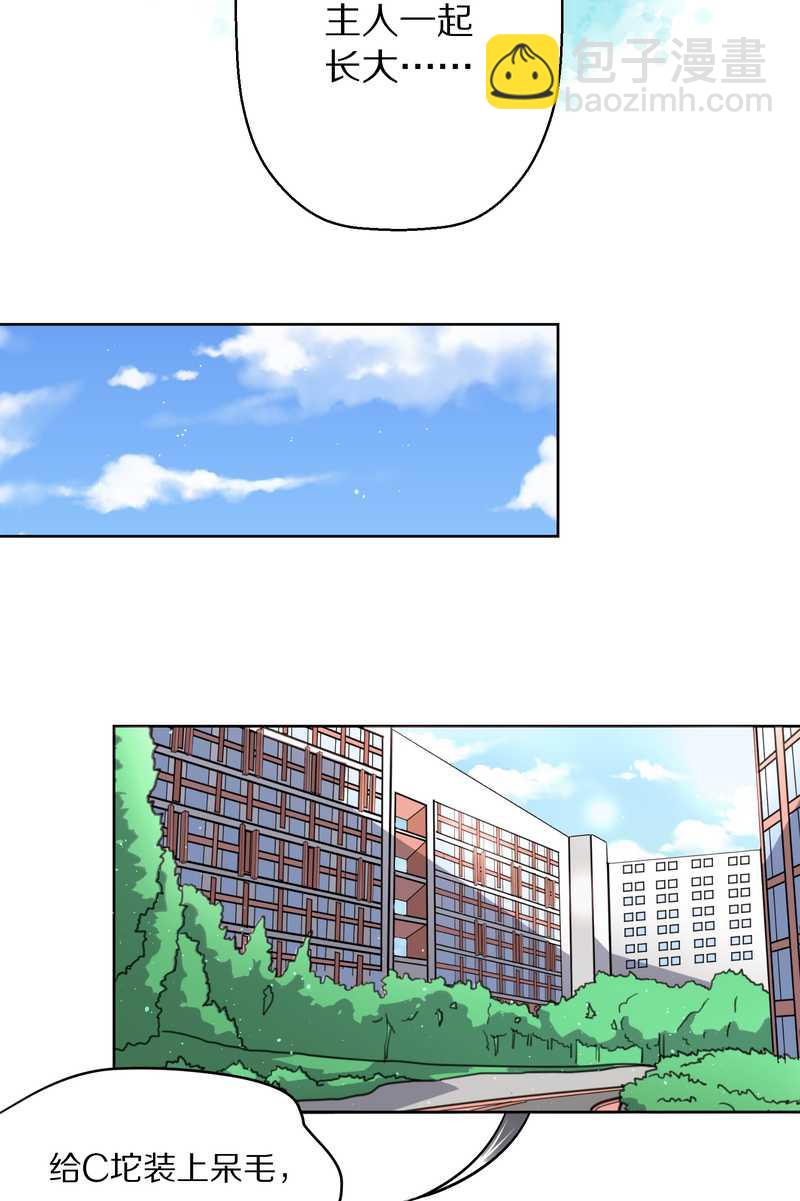 毛球星传说 第49集(1/2)-第49话