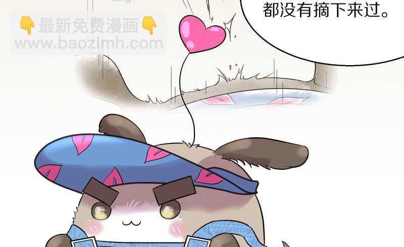 毛球星传说 第49集(1/2)-第49话