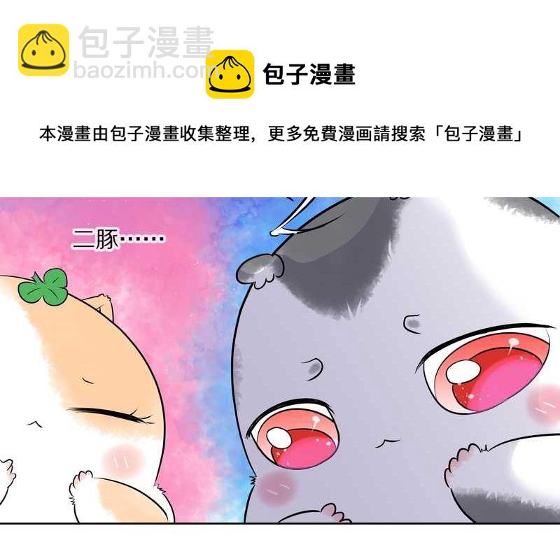 毛球星传说 第49集(1/2)-第49话