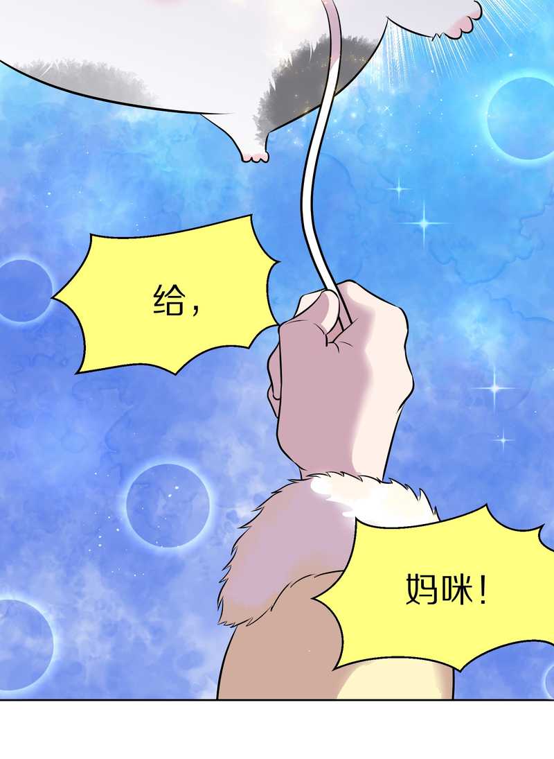 毛球星传说 第49集(1/2)-第49话