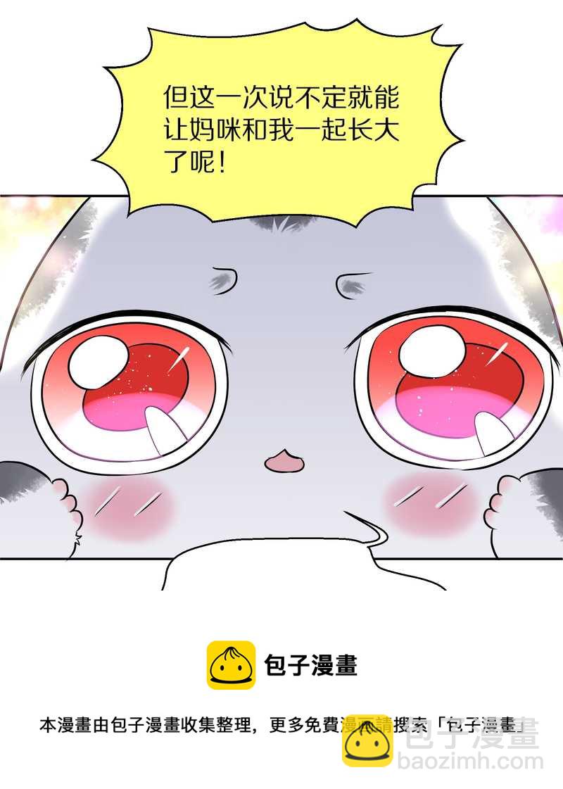 毛球星传说 第49集(1/2)-第49话