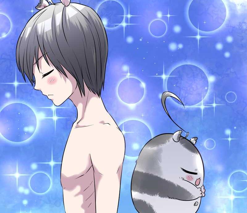 毛球星传说 第49集(1/2)-第49话