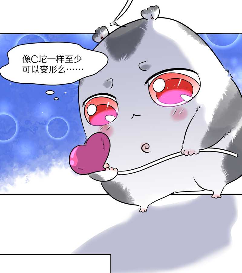 毛球星传说 第49集(1/2)-第49话