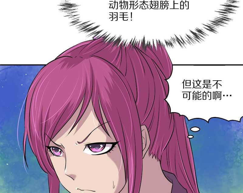 毛球星传说 第51集(1/2)-第51话