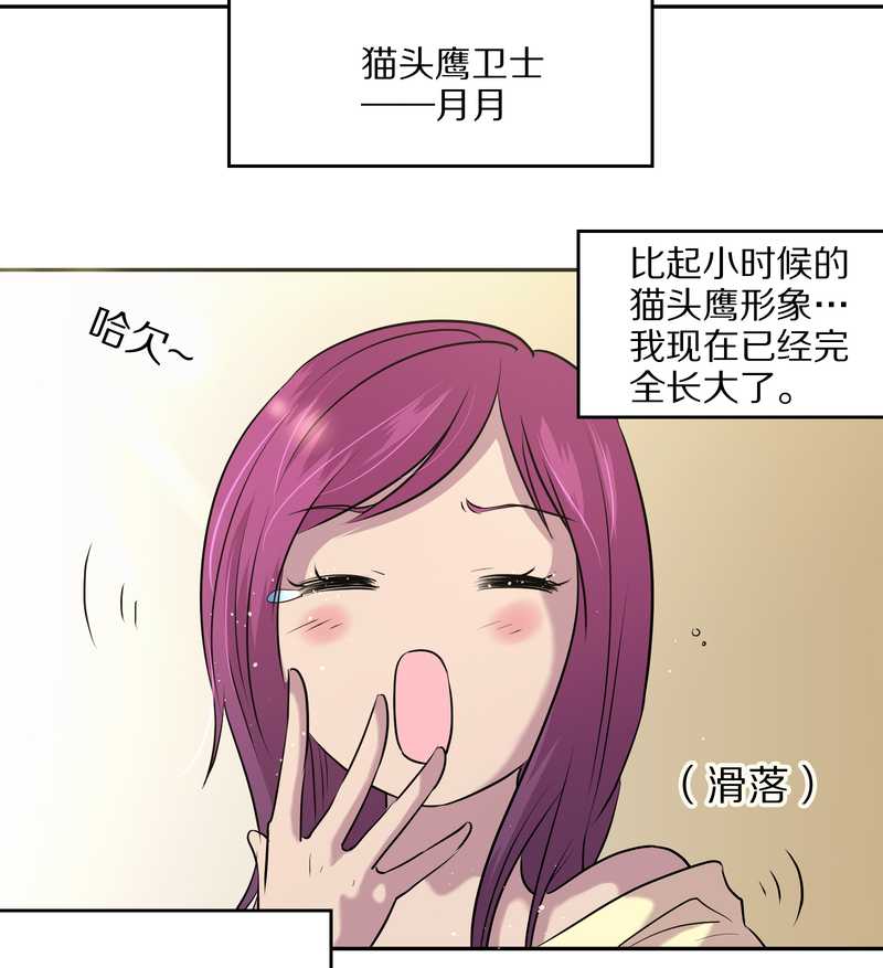 毛球星传说 第51集(1/2)-第51话