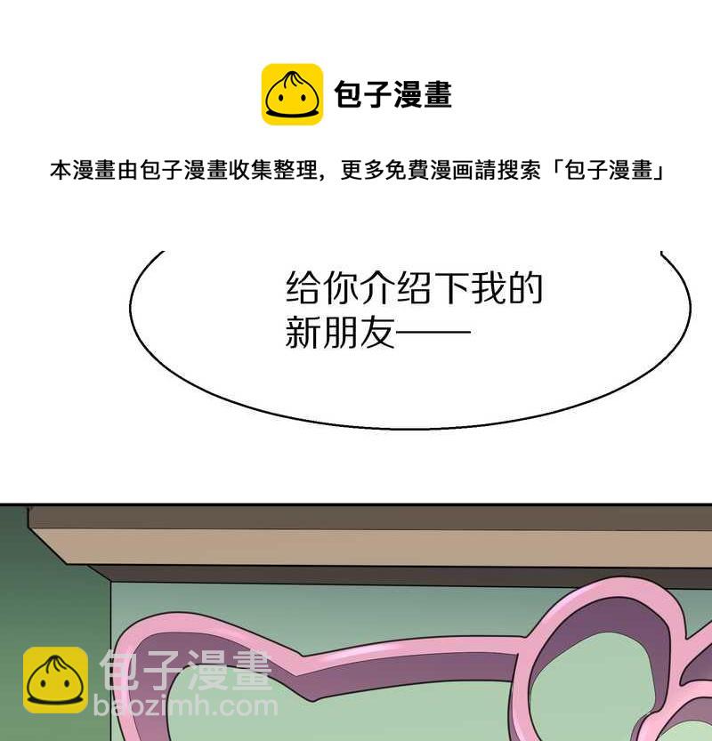 毛球星传说 第53集(1/2)-第53话