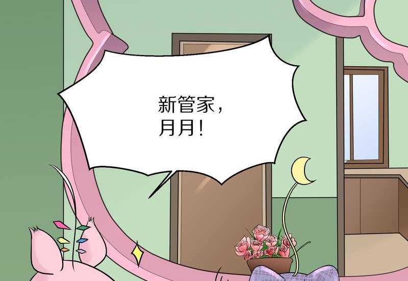 毛球星传说 第53集(1/2)-第53话