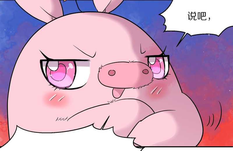 毛球星传说 第53集(1/2)-第53话