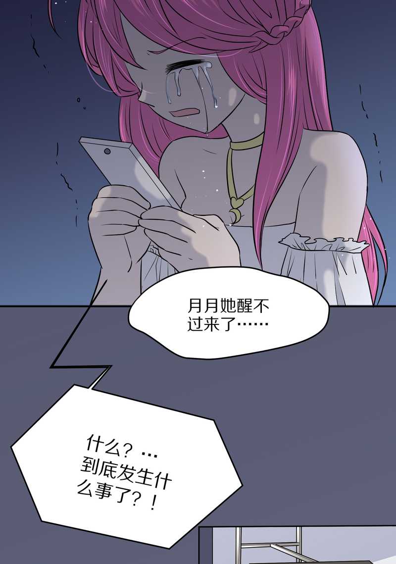 毛球星传说 第53集(1/2)-第53话