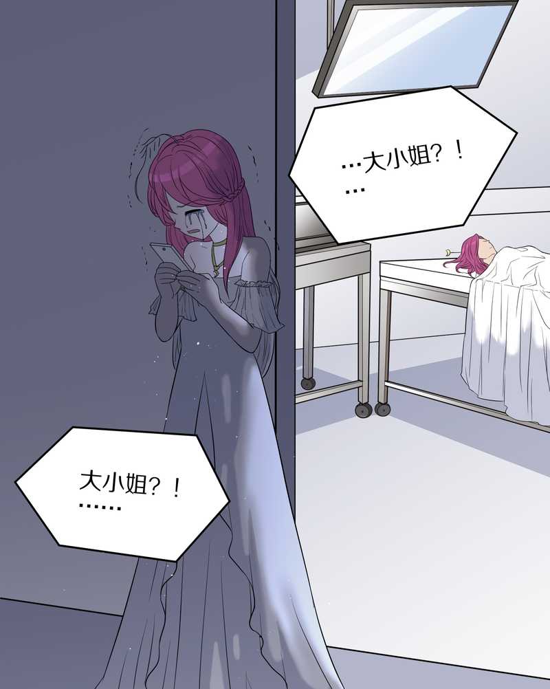 毛球星传说 第53集(1/2)-第53话