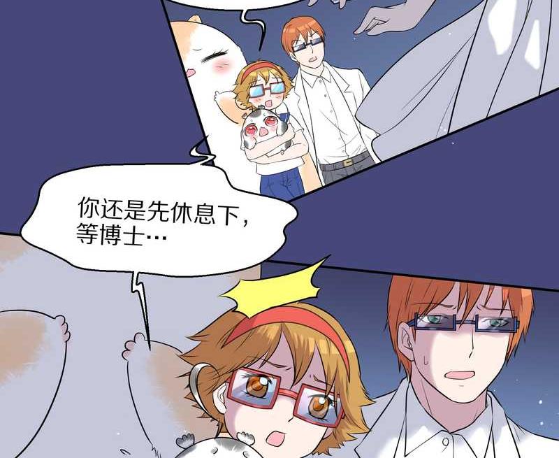 毛球星传说 第53集(1/2)-第53话