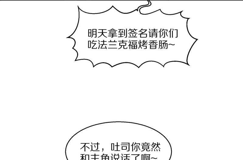 毛球星传说 第55集(1/2)-第55话