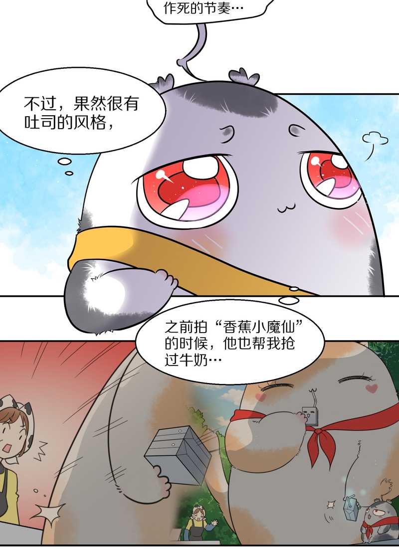 毛球星传说 第55集(1/2)-第55话