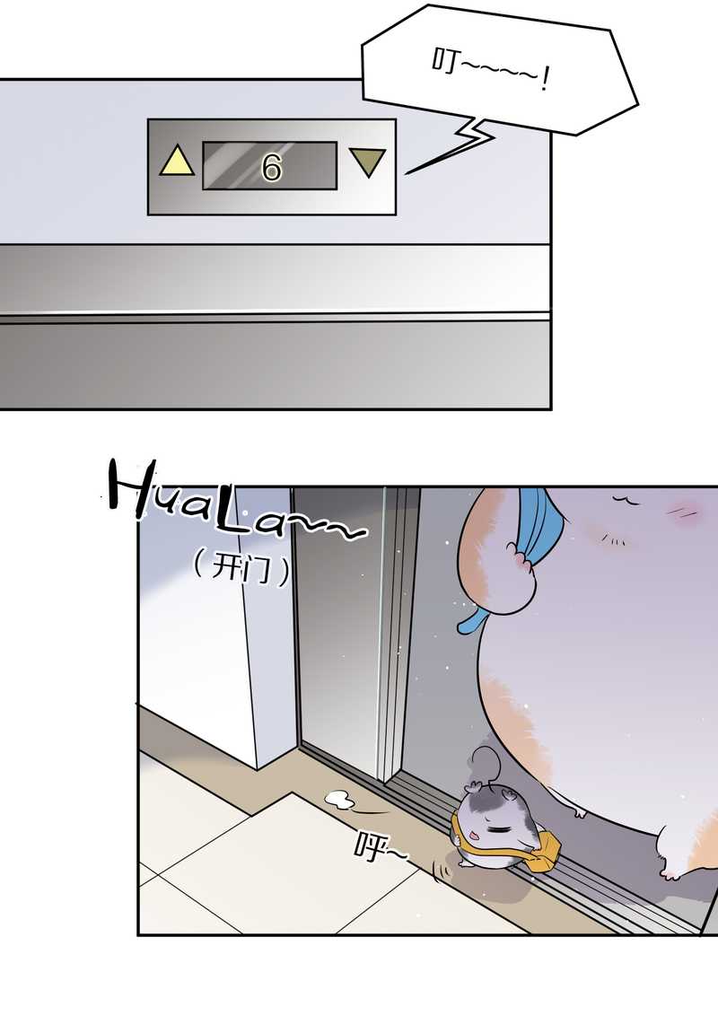 毛球星传说 第55集(1/2)-第55话