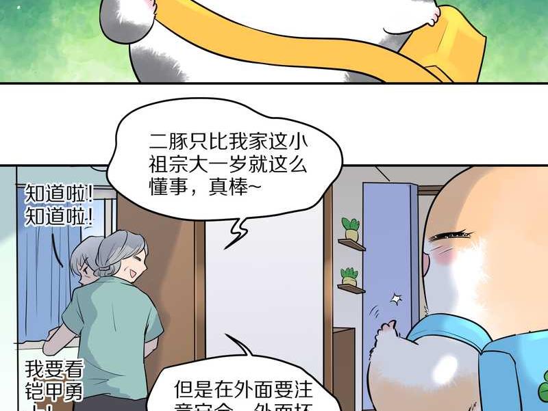 毛球星传说 第55集(1/2)-第55话