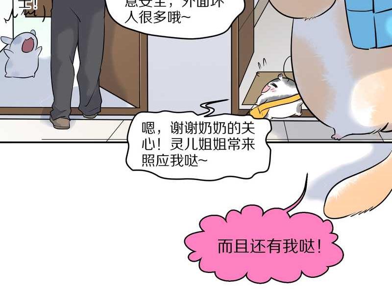 毛球星传说 第55集(1/2)-第55话