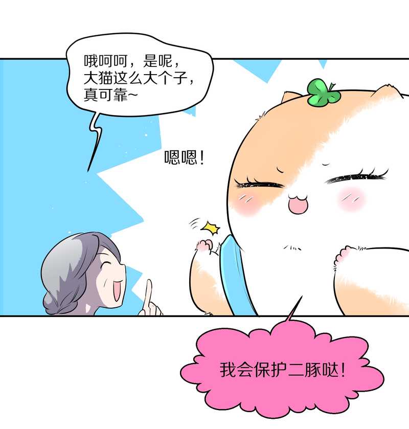 毛球星传说 第55集(1/2)-第55话