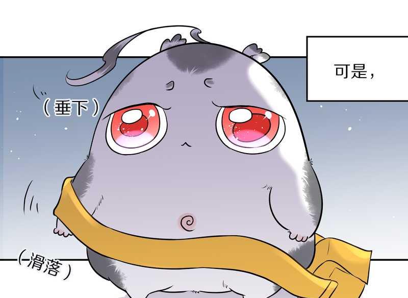 毛球星传说 第55集(1/2)-第55话