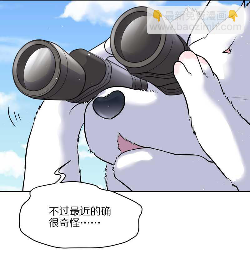 毛球星传说 第57集(1/2)-第57话