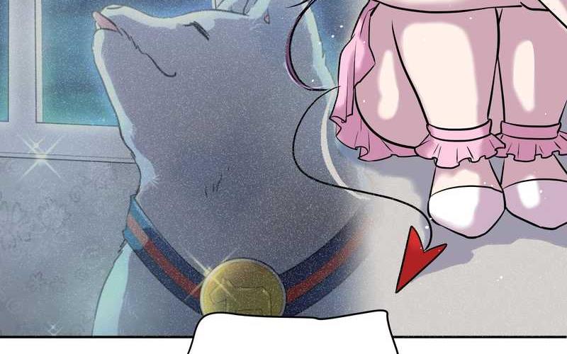 毛球星传说 第57集(1/2)-第57话