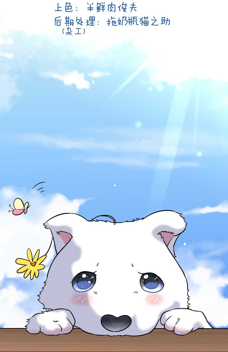 毛球星传说 第57集(1/2)-第57话